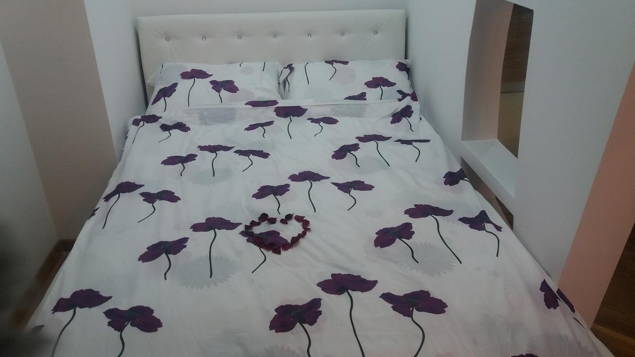 Marina Jacuzzi Apartment Free Parking Novi Sad Exterior foto